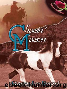 Chasin' Mason by Stacey Joy Netzel
