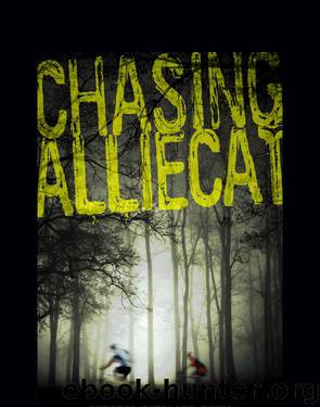 Chasing AllieCat by Rebecca Fjelland Davis