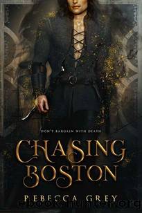 Chasing Boston: A Brothers of the Otherworld Standalone by Rebecca Grey