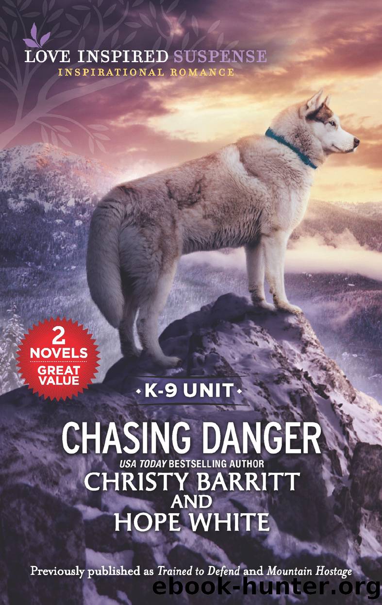 Chasing Danger by Christy Barritt