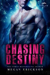 Chasing Destiny (Silver Tip Pack Book 2) by Megan Erickson