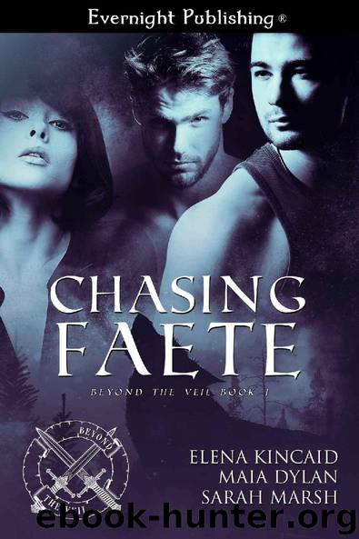 Chasing Faete (Beyond the Veil Book 1) by Sarah Marsh & Elena Kincaid & Maia Dylan