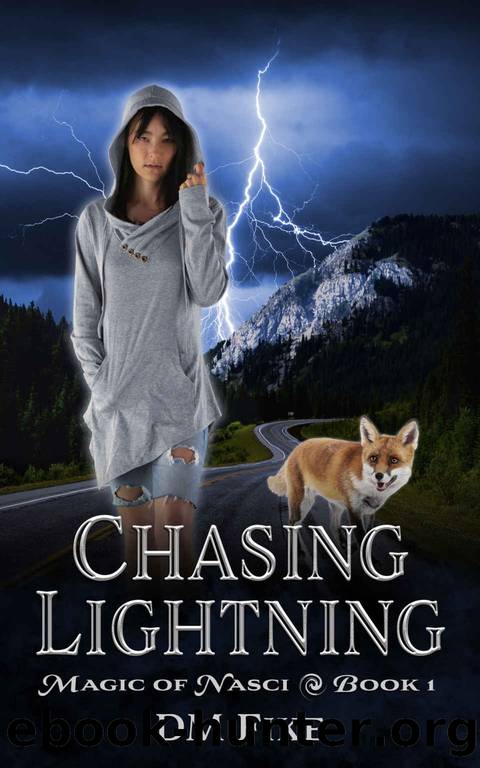Chasing Lightning by D M Fike