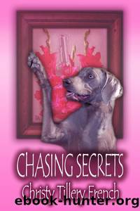 Chasing Secrets by Christy Tillery French