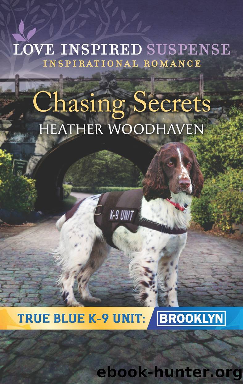 Chasing Secrets by Heather Woodhaven