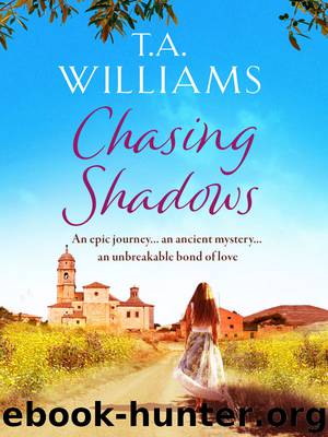 Chasing Shadows by T.A. Williams