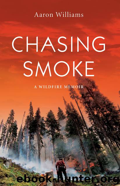 Chasing Smoke by Aaron Williams