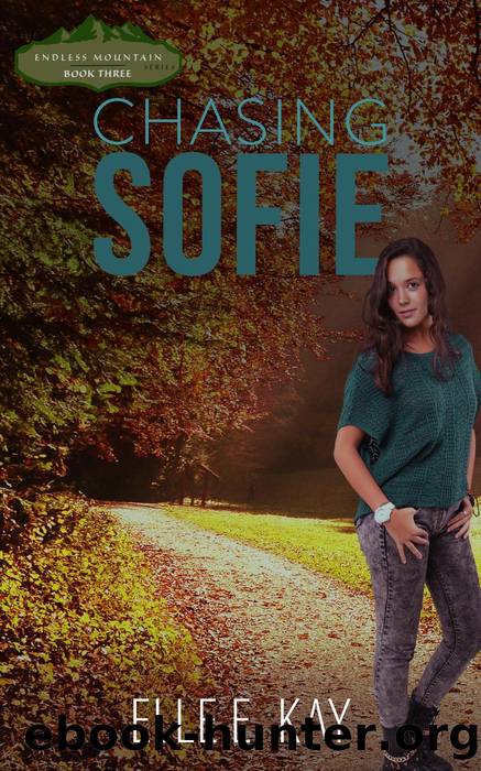 Chasing Sofie by Elle E. Kay