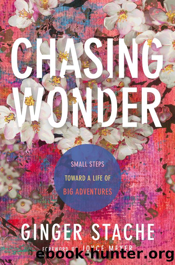 Chasing Wonder by Ginger Stache