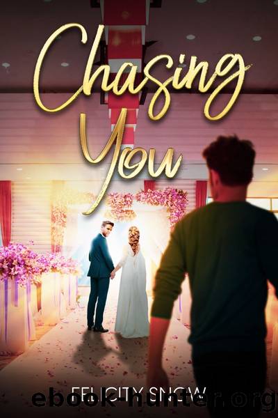 Chasing You by Felicity Snow