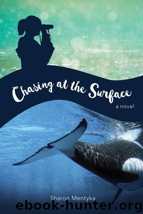 Chasing at the Surface by Sharon Mentyka