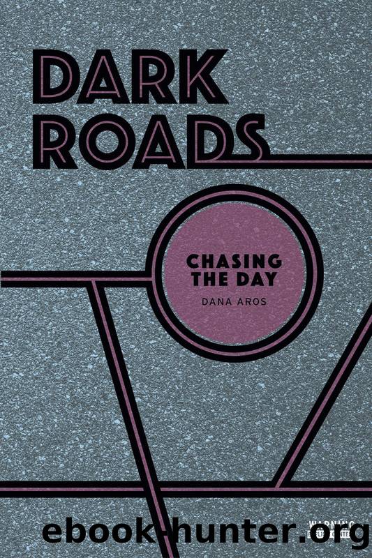 Chasing the Day by Dana Aros