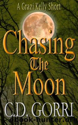 Chasing the Moon by C D Gorri