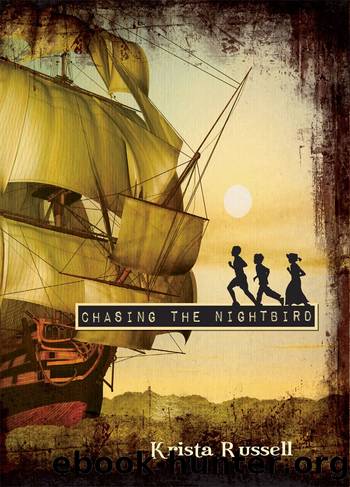 Chasing the Nightbird by Krista Russell