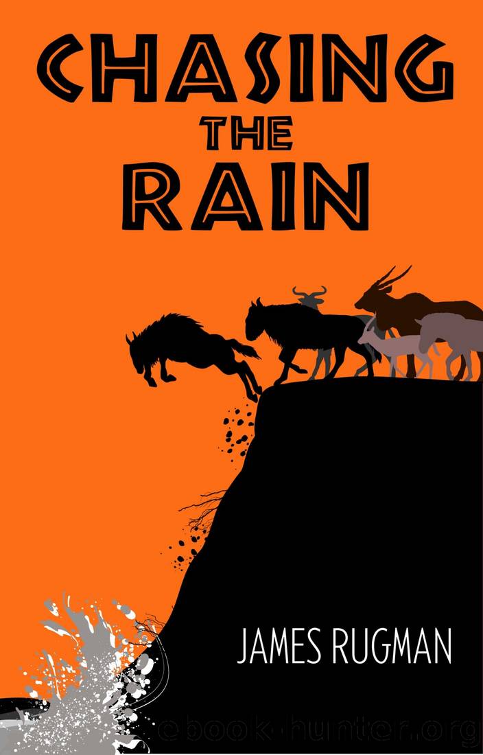 Chasing the Rain by James Rugman