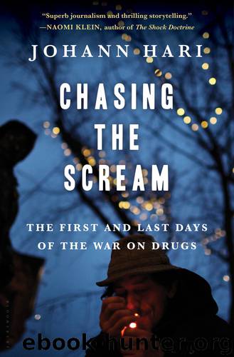 Chasing the Scream by Johann Hari