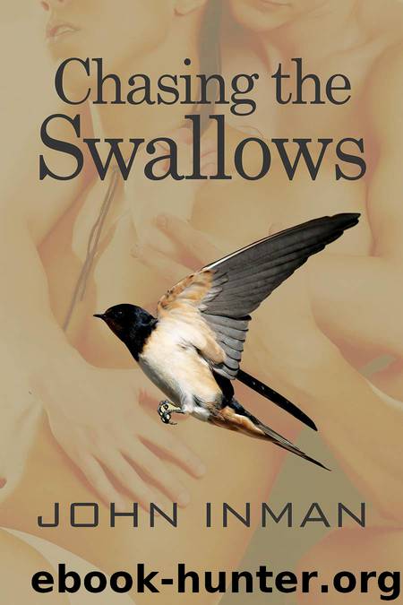 Chasing the Swallows by Inman John