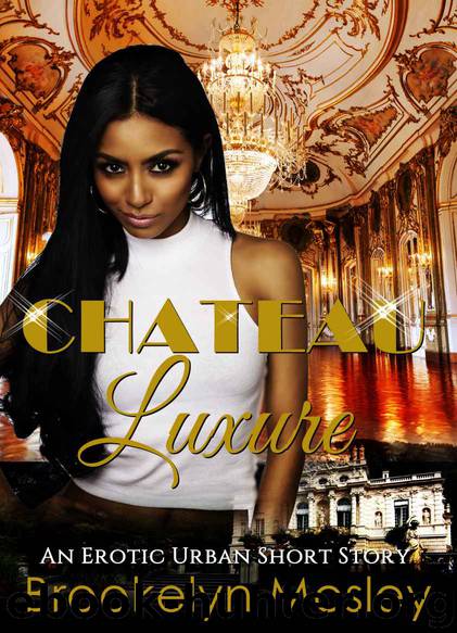 Chateau Luxure: An Erotic Urban Short Story by Brookelyn Mosley