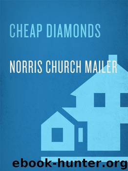 Cheap Diamonds by Norris Church Mailer