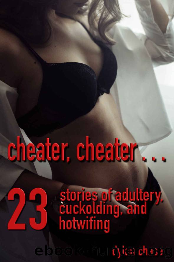 Cheater, cheater . . . : 23 stories of adultery, cuckolding, and hotwifing (Anthologies of Infidelity) by Dylan Chase