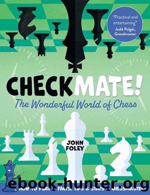 Checkmate! by John Foley