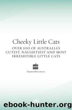 Cheeky Little Cats by Various
