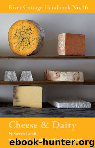 Cheese & Dairy by Steven Lamb