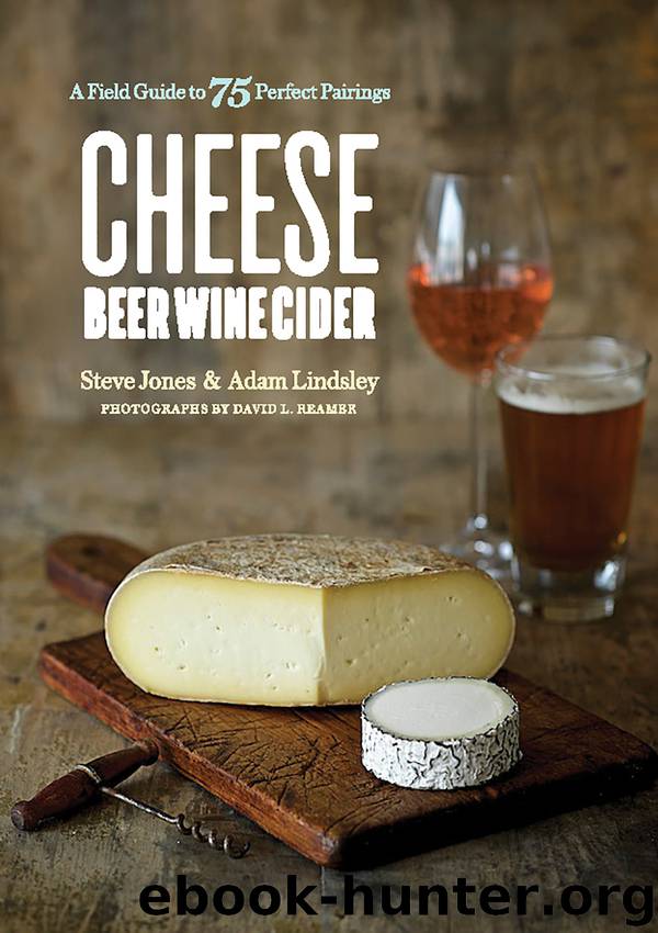 Cheese Beer Wine Cider by Steve Jones