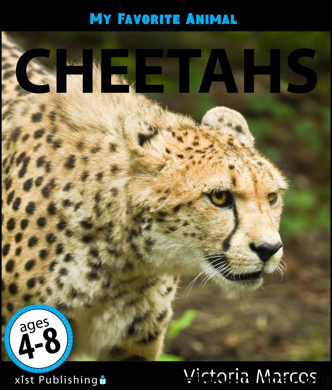 Cheetahs by Victoria Marcos