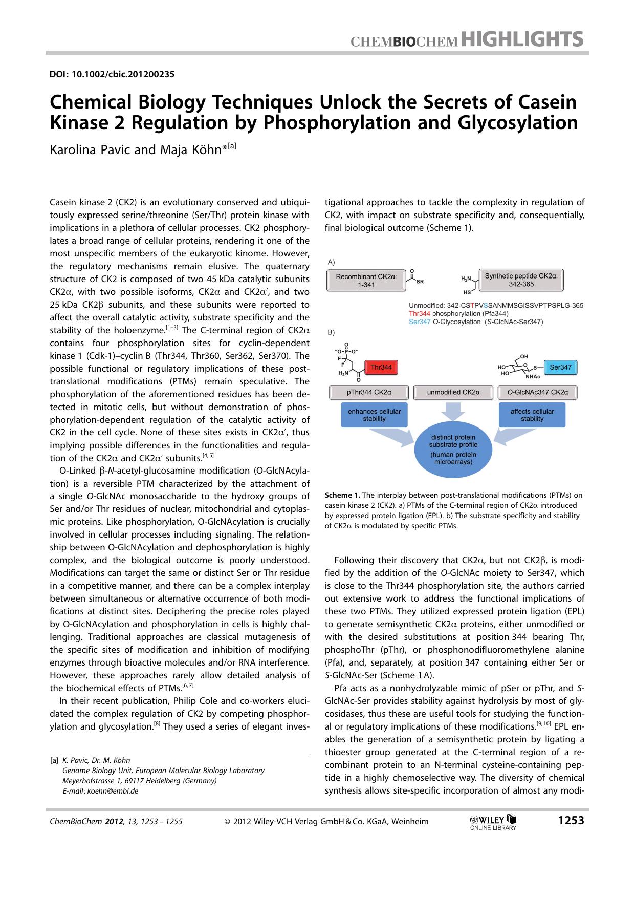 Chemical Biology Techniques Unlock the Secrets of Casein Kinase 2 Regulation by Phosphorylation and Glycosylation by Unknown