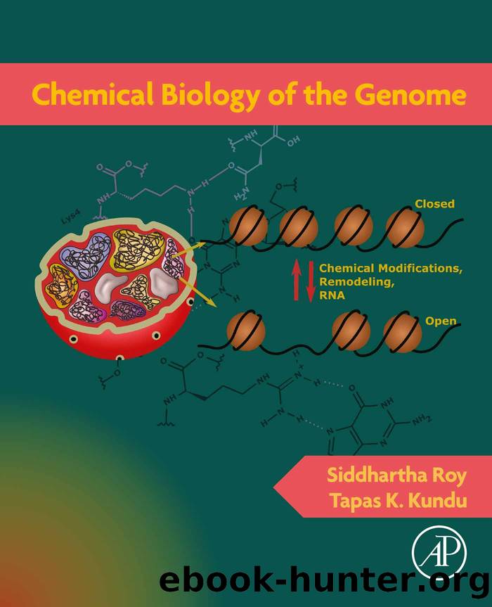 Chemical Biology of the Genome by Roy Siddhartha; Kundu Tapas K.; & Tapas K. Kundu