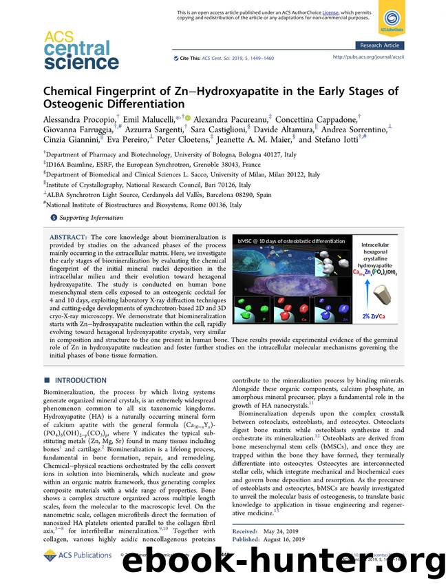 Chemical Fingerprint of ZnâHydroxyapatite in the Early Stages of Osteogenic Differentiation by unknow