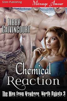 Chemical Reaction [The Men from Nowhere, North Dakota 3] (Siren Publishing Ménage Amour) by Libby Calvincourt