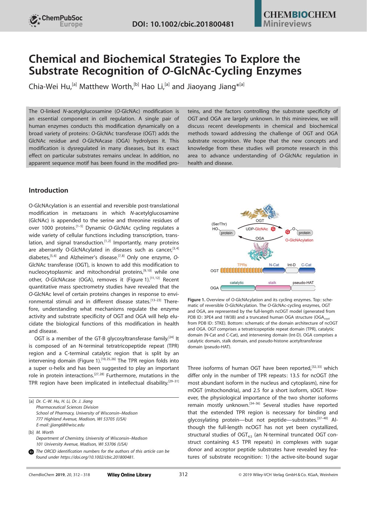 Chemical and Biochemical Strategies To Explore the Substrate Recognition of OâGlcNAcâCycling Enzymes by Unknown
