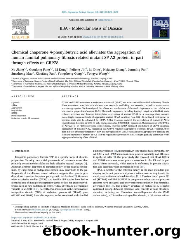 Chemical chaperone 4-phenylbutyric acid alleviates the aggregation of human familial pulmonary fibrosis-related mutant SP-A2 protein in part through effects on GRP78 by unknow