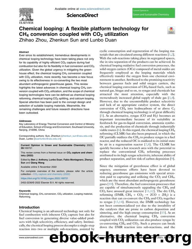 Chemical looping: A flexible platform technology for CH4 conversion coupled with CO2 utilization by Zhihao Zhou & Zhenkun Sun & Lunbo Duan