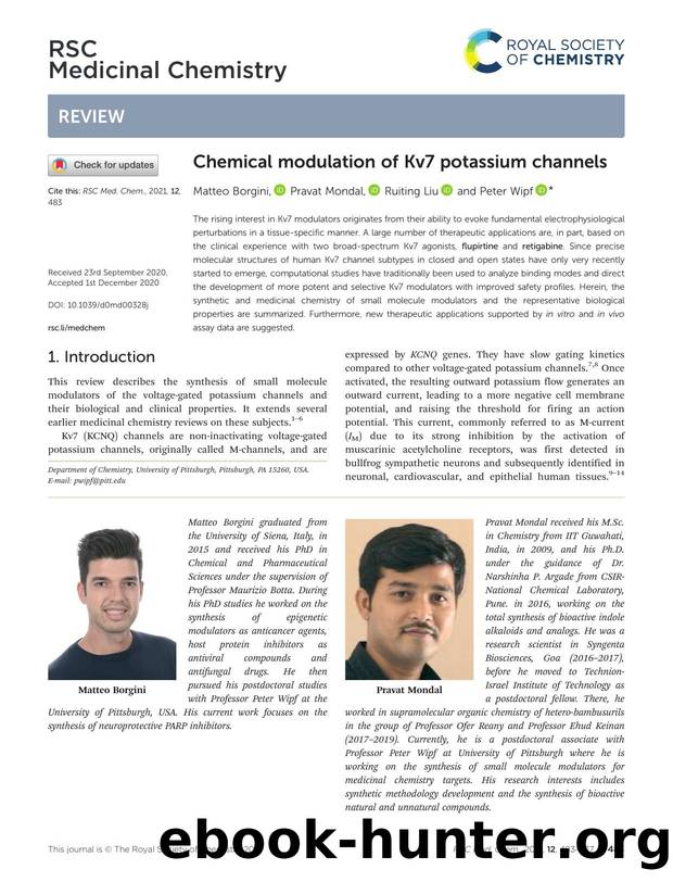 Chemical modulation of Kv7 potassium channels by Matteo Borgini & Pravat Mondal & Ruiting Liu & Peter Wipf