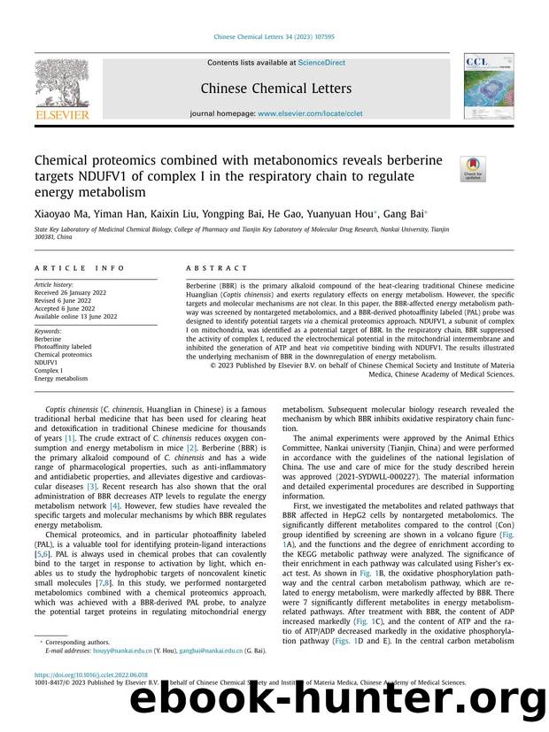 Chemical proteomics combined with metabonomics reveals berberine targets NDUFV1 of complex I in the respiratory chain to regulate energy metabolism by Xiaoyao Ma & Yiman Han & Kaixin Liu & Yongping Bai & He Gao & Yuanyuan Hou & Gang Bai