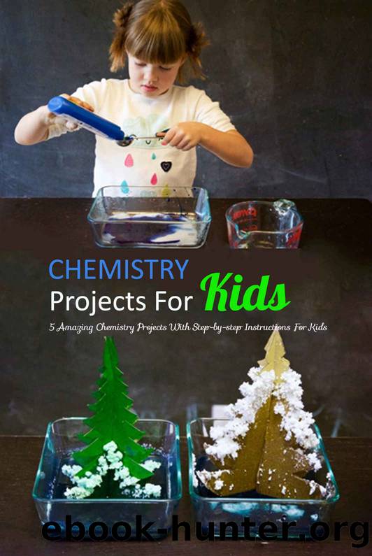Chemistry Projects For Kids: 5 Amazing Chemistry Projects With Step-by-step Instructions For Kids: Chemistry For Kids by Leeanne Reindl