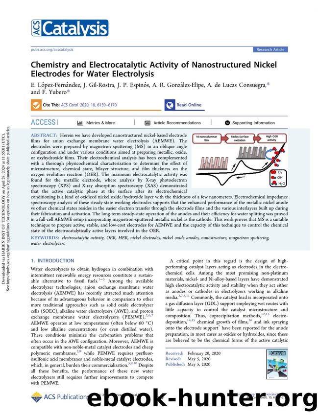 Chemistry and Electrocatalytic Activity of Nanostructured Nickel Electrodes for Water Electrolysis by unknow