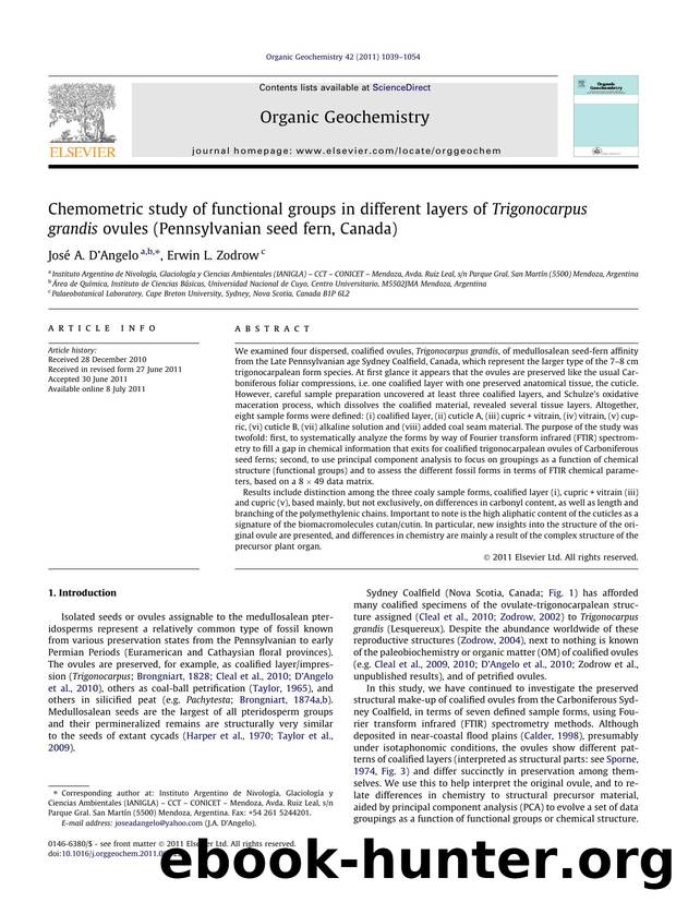 Chemometric study of functional groups in different layers of Trigonocarpus grandis ovules (Pennsylvanian seed fern, Canada) by JosÃ© A. Dâ€™Angelo & Erwin L. Zodrow