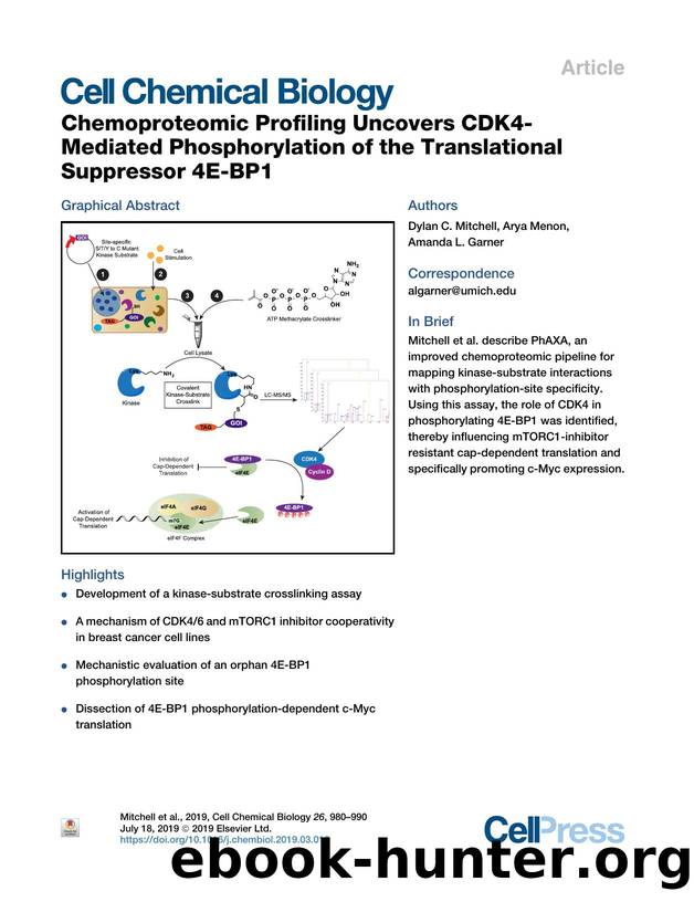 Chemoproteomic Profiling Uncovers CDK4-Mediated Phosphorylation of the Translational Suppressor 4E-BP1 by Dylan C. Mitchell & Arya Menon & Amanda L. Garner
