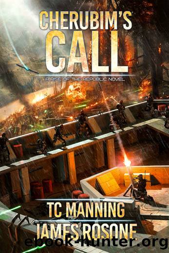 Cherubim's Call by TC Manning & James Rosone