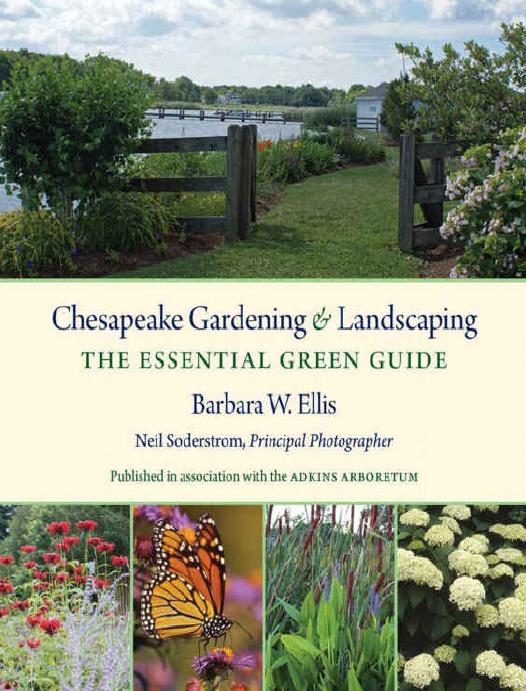 Chesapeake Gardening and Landscaping: The Essential Green Guide by Barbara W. Ellis