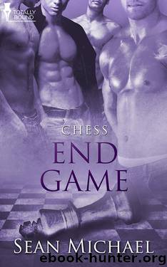 Chess 05 - End Game by Sean Michael