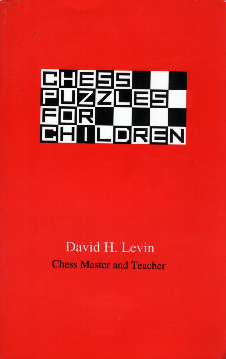 Chess Puzzles for Children by David H. Levin