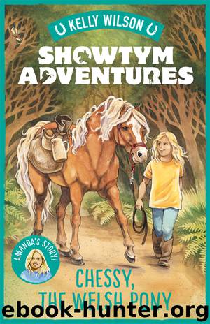 Chessy, the Welsh Pony by Kelly Wilson