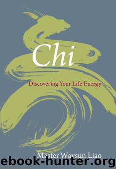 Chi by Waysun Liao