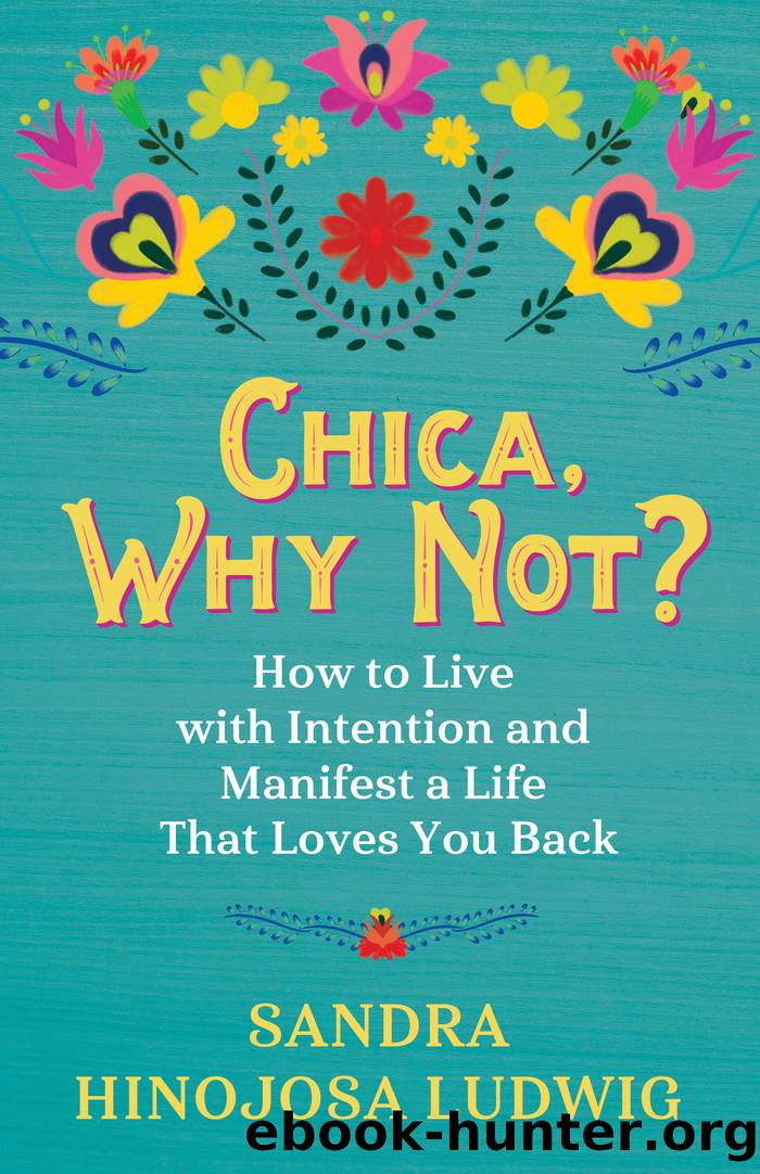 Chica, Why Not? by Sandra Hinojosa Ludwig