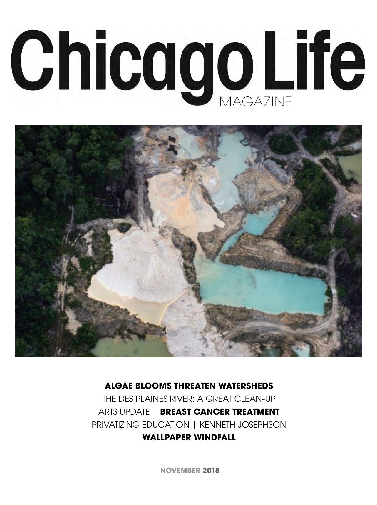 Chicago Life Magazine - November 2018 by Unknow